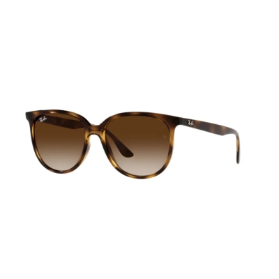 Ray-Ban RB 4378 710/13