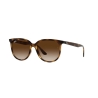 Ray-Ban RB 4378 710/13