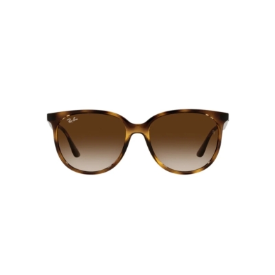 Ray-Ban RB 4378 710/13