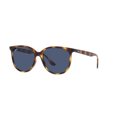 Ray-Ban RB 4378 710/80