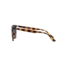 Ray-Ban RB 4378 710/80