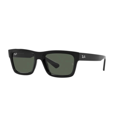 Ray-Ban WARREN RB 4396 667771