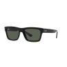 Ray-Ban WARREN RB 4396 667771