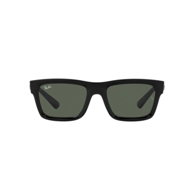 Ray-Ban WARREN RB 4396 667771