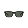 Ray-Ban WARREN RB 4396 667771