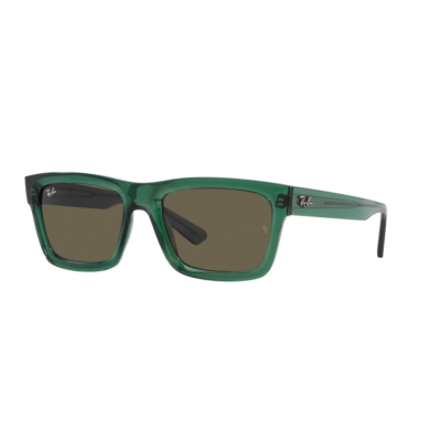 Ray-Ban WARREN RB 4396 6681/3