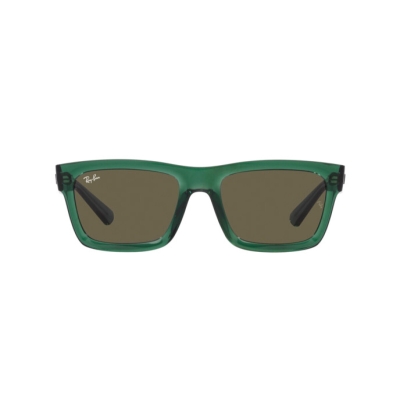 Ray-Ban WARREN RB 4396 6681/3