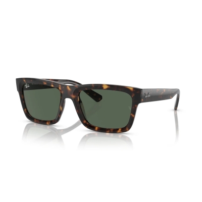 Ray-Ban WARREN RB 4396 135971