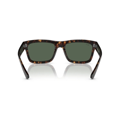 Ray-Ban WARREN RB 4396 135971