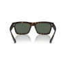 Ray-Ban WARREN RB 4396 135971