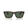 Ray-Ban WARREN RB 4396 135971