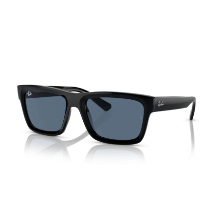 Ray-Ban WARREN RB 4396 667780