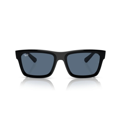 Ray-Ban WARREN RB 4396 667780