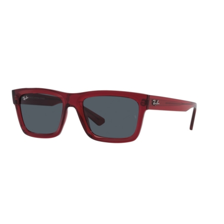 Ray-Ban WARREN RB 4396 667987