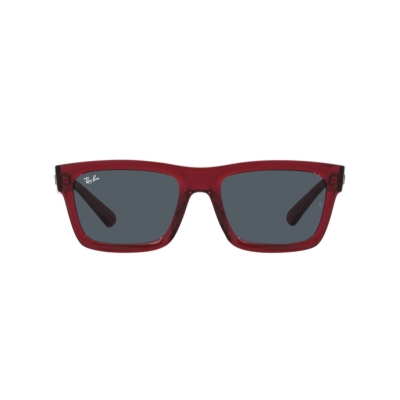 Ray-Ban WARREN RB 4396 667987