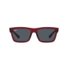 Ray-Ban WARREN RB 4396 667987