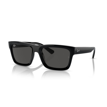 Ray-Ban WARREN RB 4396 667787