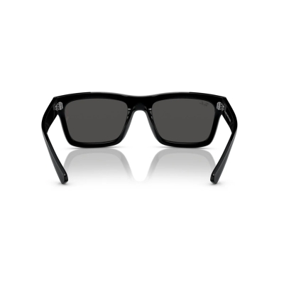 Ray-Ban WARREN RB 4396 667787