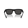 Ray-Ban WARREN RB 4396 667787