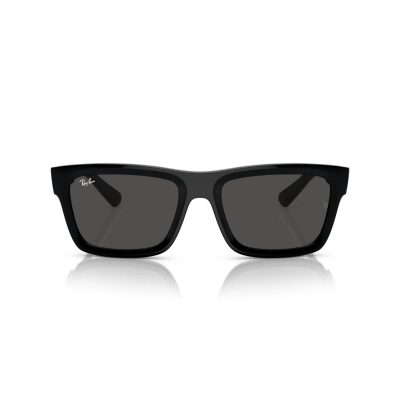 Ray-Ban WARREN RB 4396 667787