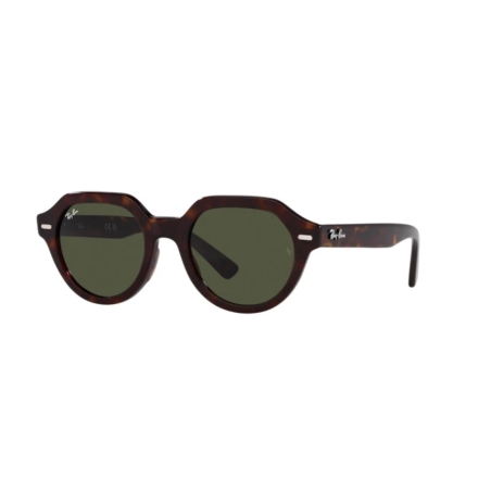 Ray-Ban GINA RB 4399 902/31