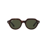 Ray-Ban GINA RB 4399 902/31