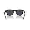 Ray-Ban RB 4420 601/87