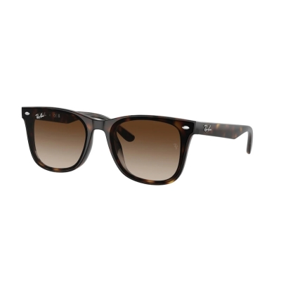 Ray-Ban RB 4420 710/13