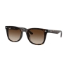 Ray-Ban RB 4420 710/13