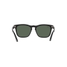 Ray-Ban STEVE RB 4487 662971