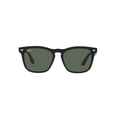 Ray-Ban STEVE RB 4487 662971