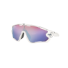 OAKLEY JAWBREAKER OO 9290 929021