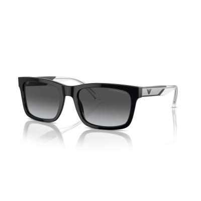 EMPORIO ARMANI EA 4224 5017T3